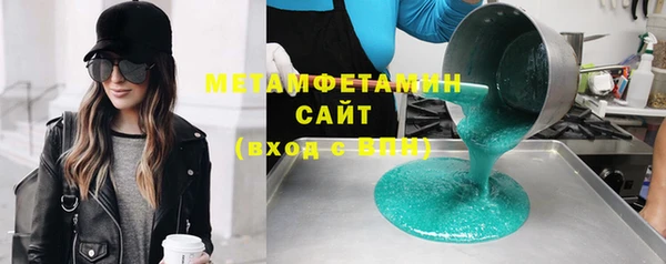 индика Нягань