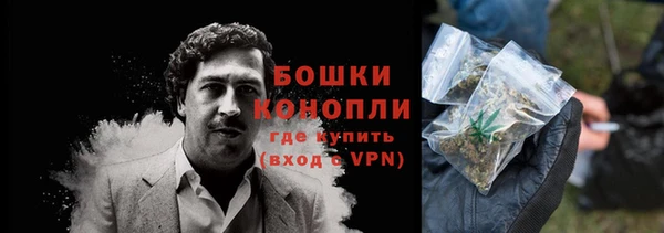 шишки Алзамай