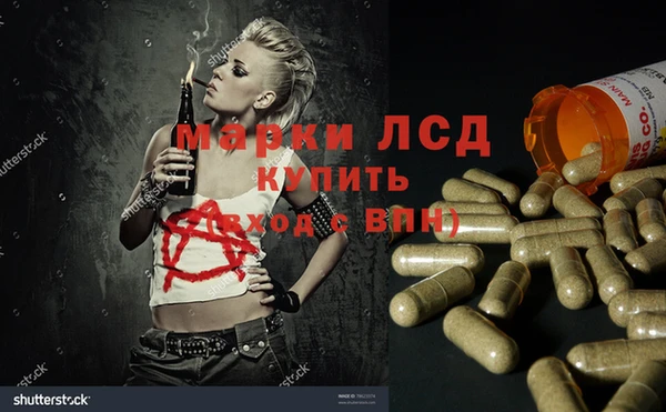 шишки Алзамай