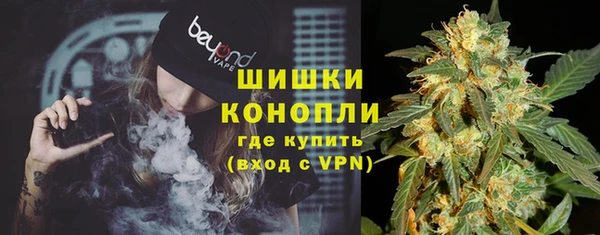 шишки Нязепетровск