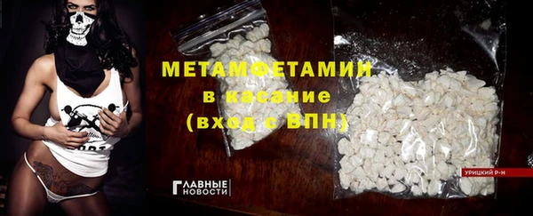 индика Новозыбков